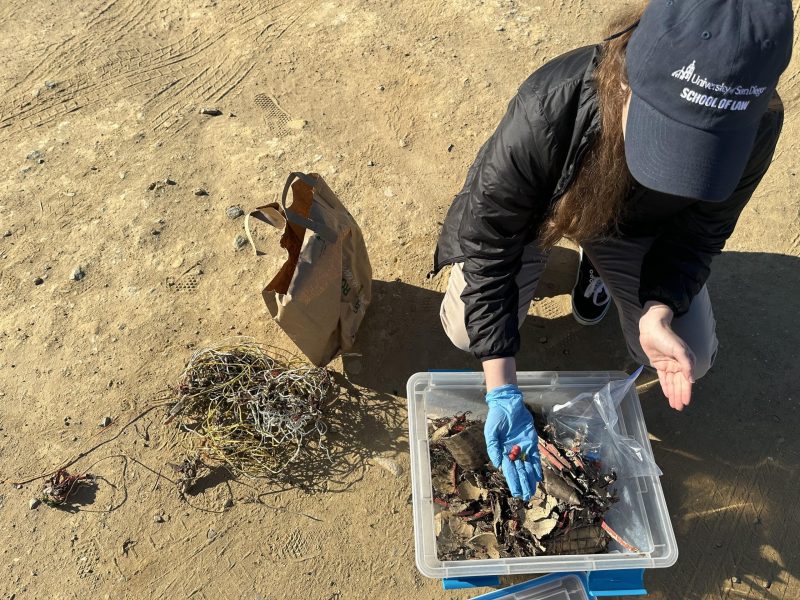 Natalie Clagett of Coast Law Group shows fireworks debris she collected following SeaWorld San Diego fireworks shows in May and October of 2024. / MacKenzie Elmer