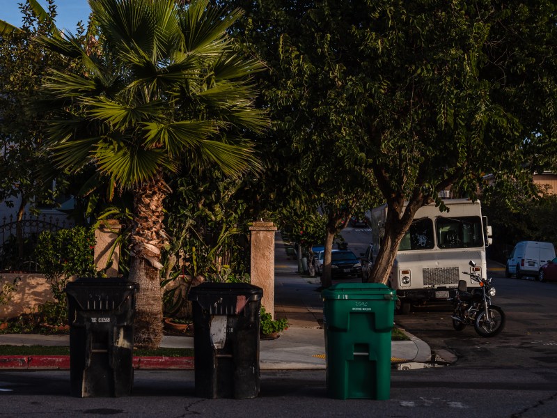 New food waste bins and garbage bins are lined up on the street in Grant Hill on Jan. 19, 2023.